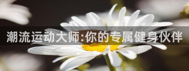 凯捷体育招商电话地址查询:潮流运动大师:你的专属健身伙伴