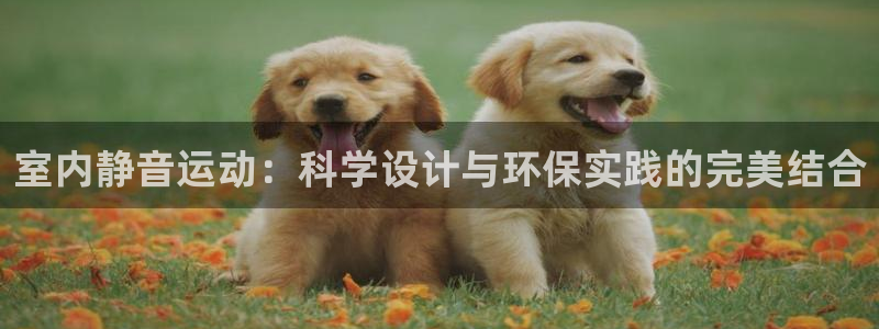 德国凯捷体育集团:室内静音运动:科学设计与环保实践的完美结合