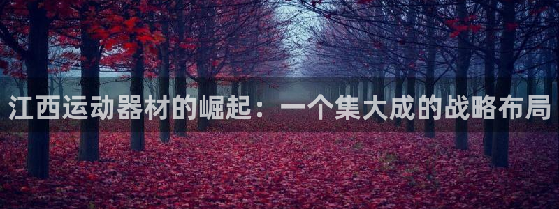 凯捷体育娱乐:江西运动器材的崛起:一个集大成的战略布局