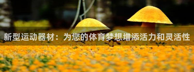 凯捷体育招商:新型运动器材:为您的体育梦想增添活力和灵活性