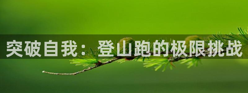 凯捷体育开户:突破自我:登山跑的极限挑战